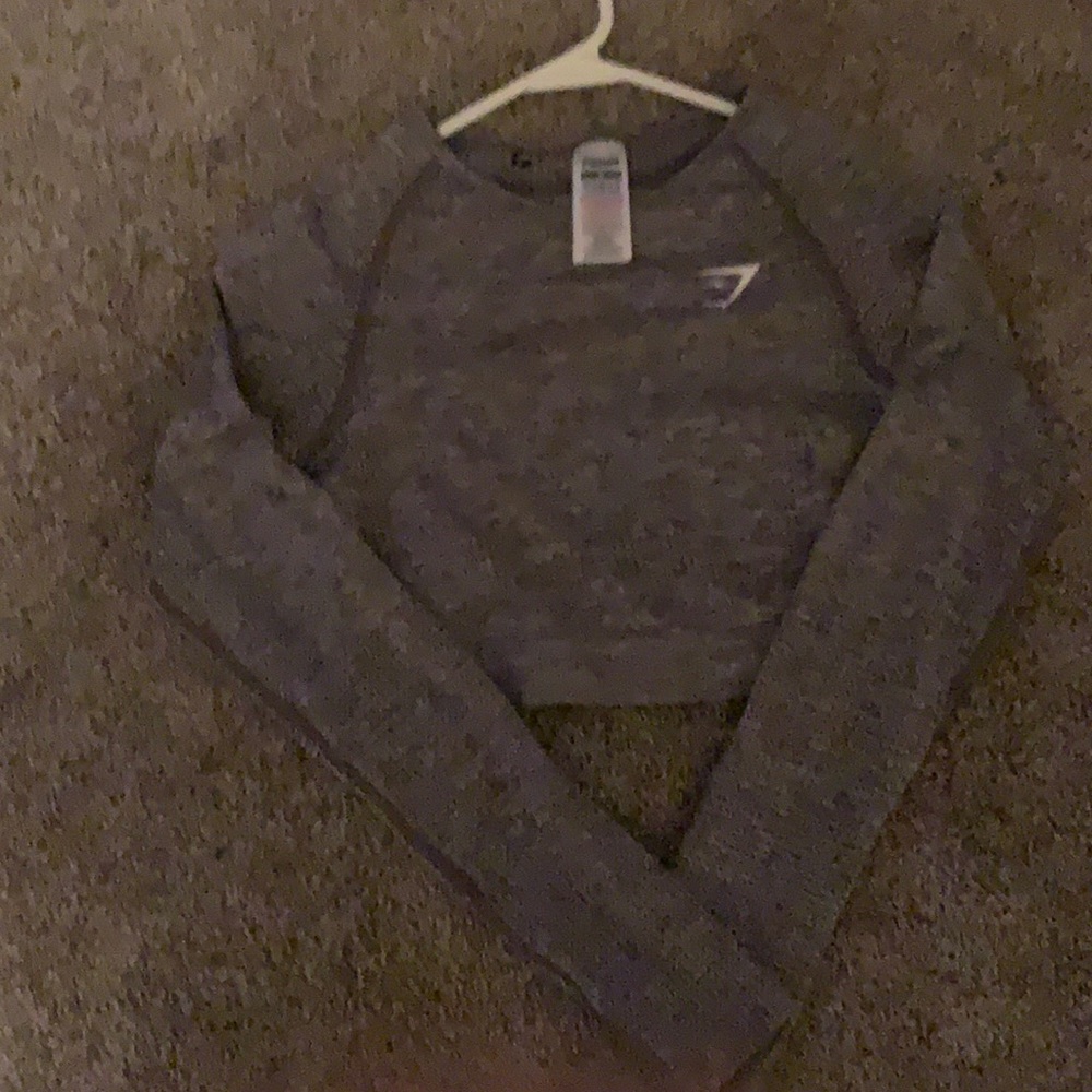 Grey gym shark crop workout long sleeve